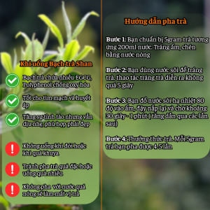 Bach tra Shan Tuyet 1