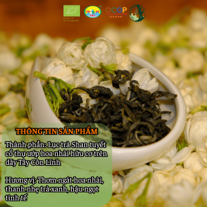 Luc tra uop nhai – Shan tuyet 3