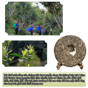 Tra pho nhi – Tra banh Shan Tuyet