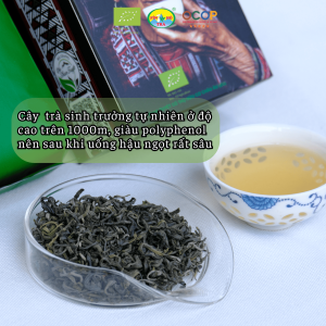 Tra xanh ba cu 2