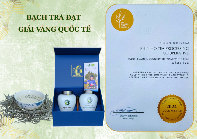Bạch Trà - Giải Vàng Quốc Tế tại Úc Năm 2024