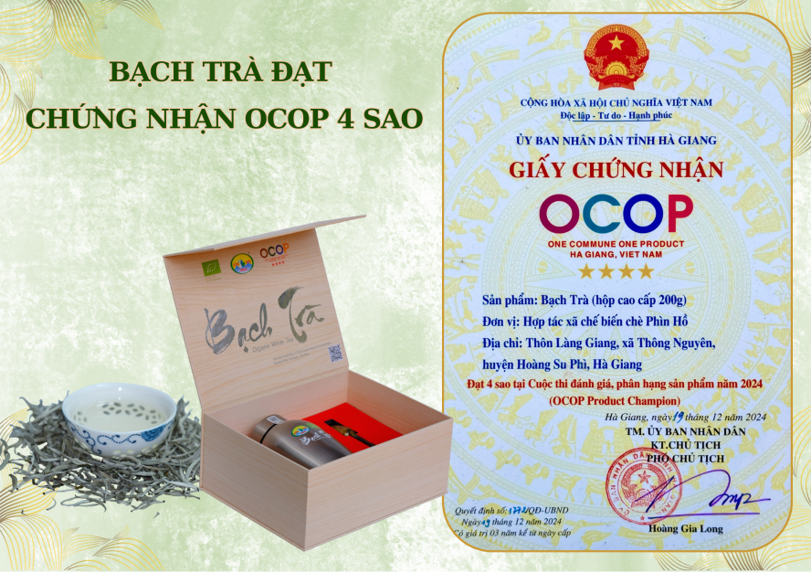 Bạch Trà OCOP 4 Sao