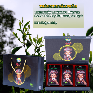 Bo qua OCOP 5 SAO – Tra xanh OCOP 5 sao va Hong tra OCOP 5 sao 1