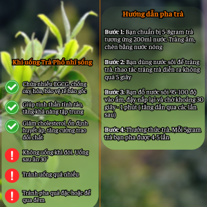 Huong dan pha tra nhai