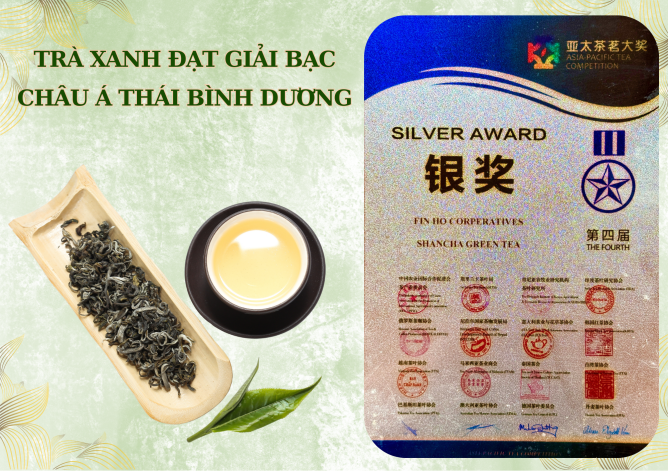 Trà Xanh - Giải Nhì Châu Á Thái Bình Dương Tổ Chức Lần Thứ 4 Tại Trung Quốc Năm 2019