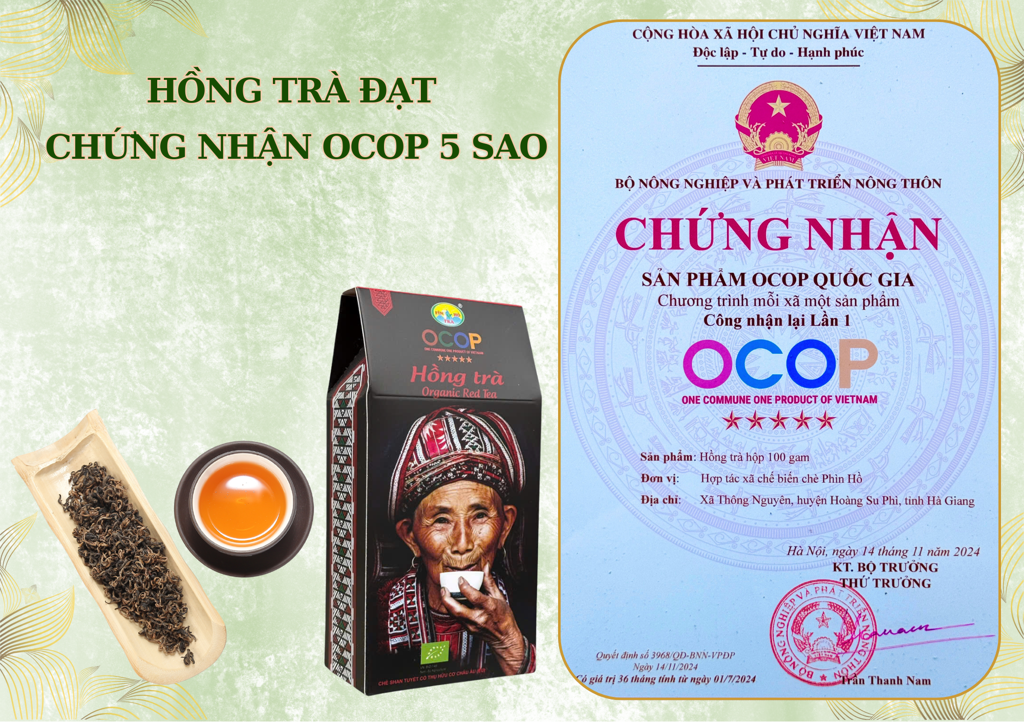 Trà xanh – Hồng trà đạt hạng OCOP 5 Sao Quốc Gia