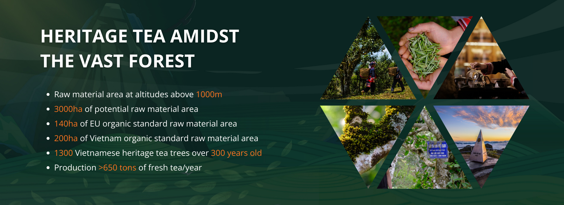 sli home fin ho tra en 3